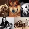 Teri Bossert - @doghouse06 - TikTok