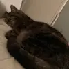 Terri Bostic - @terri.bostic - TikTok