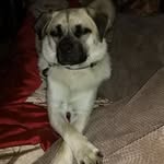 Terry Bourke - @terry.bourke.927 - Instagram
