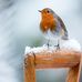 Terry Bourn - Facebook