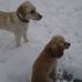 Terry Bourne - Facebook