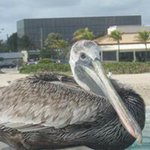 Terry Boutwell - @tessbtw - Instagram
