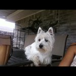 @terrybowers - Instagram