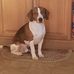 Terry Bowmaster - Facebook