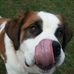 Terry Brack - Facebook