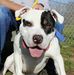 Terry Brack - Facebook