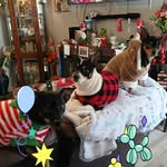 Terrie Rae Braddock - @terrieraebraddock - Instagram