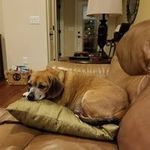 Terry Rick Braley - @terryrickbraley - Instagram