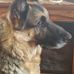 Terry Brame - Facebook