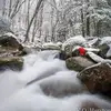 terrybrammer851 - @terrybrammer851 - TikTok