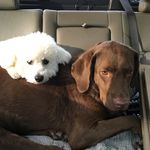 Terri Braswell Morris - @terri.b.morris - Instagram