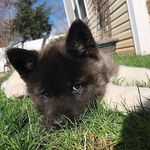 Terry Brattain - @terrybrattain - Instagram