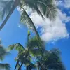 Terri Briscoe Rice - @terri.briscoe.ric - TikTok
