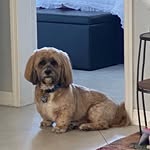 Terry Britton - @terrydbritton323 - Instagram