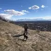 terrybronson260 - @terrybronson260 - TikTok