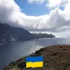 Terry Brophy - @terry.brophy - TikTok