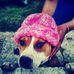 Terry Bross - Facebook