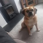 Terry Browne - @browne.terryr - Instagram