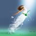 Terry Bruder - Facebook