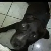 Terry Bullard - @terry.bullard1 - TikTok