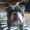 Terry Bullman - @terrybullman - TikTok
