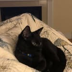 Terry Burakiewicz - @terryburakiewicz - Instagram
