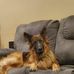 Terry Burch - Facebook