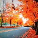 Terry Burch - @burch.terry - Instagram