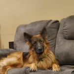 Terry Burch - @terryburch2003 - Instagram