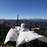 Terry Turner Burch - @terryburchclangmail.com_ - Instagram
