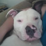 Terry Burger - @terrylynn1979 - Instagram