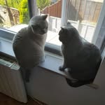 Terry Burrows - @grass76hopper - Instagram