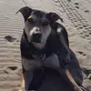 Terry Burrows - @terry.burrows - TikTok