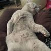 Terry Burrows - @terry.burrows4 - TikTok