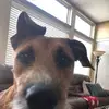Terrie Burson - @terrieburson - TikTok