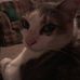 Terry Bushey - Facebook