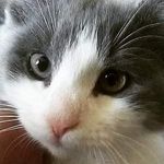 Terry Buss - @bussterry - Instagram