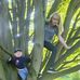 Terry Button - Facebook