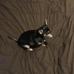 Terry Button - @terry66674 - Instagram