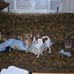 Terry Butts - Facebook
