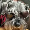 Terry Mccaffrey - @terry.mccaffrey - TikTok
