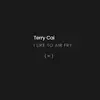 Terry Cai - @air.fry - TikTok