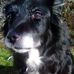 Terry Cairns - Facebook