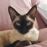 Terry Cairns - @terryc0412 - Instagram