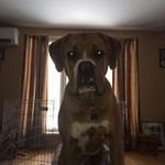 Terry Caldwell - @terry.caldwell - Instagram