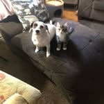 Terry Canfield Starkey - @terryc_stark - Instagram