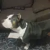 Terry Cano - @terry.cano - TikTok