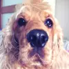 Terry - @terrycap0 - TikTok