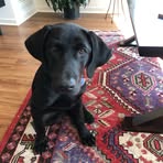 Terry Capp - Facebook