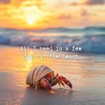 Terri Capps - @terricapps1 - Instagram